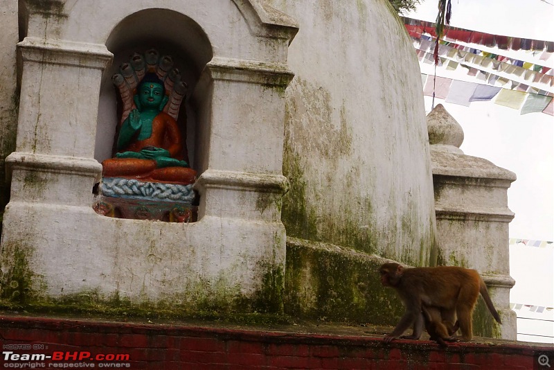 Nepal (Kathmandu and Pokhara) : Dashain, Religion, Phailin and Fun-swayambhunath-12.jpg