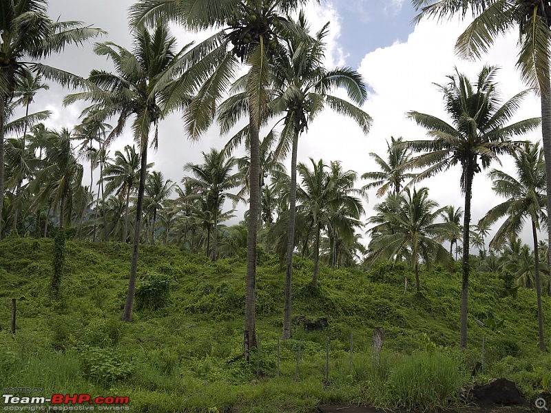 Slice of India in Taveuni, Fiji-_1000139.jpg