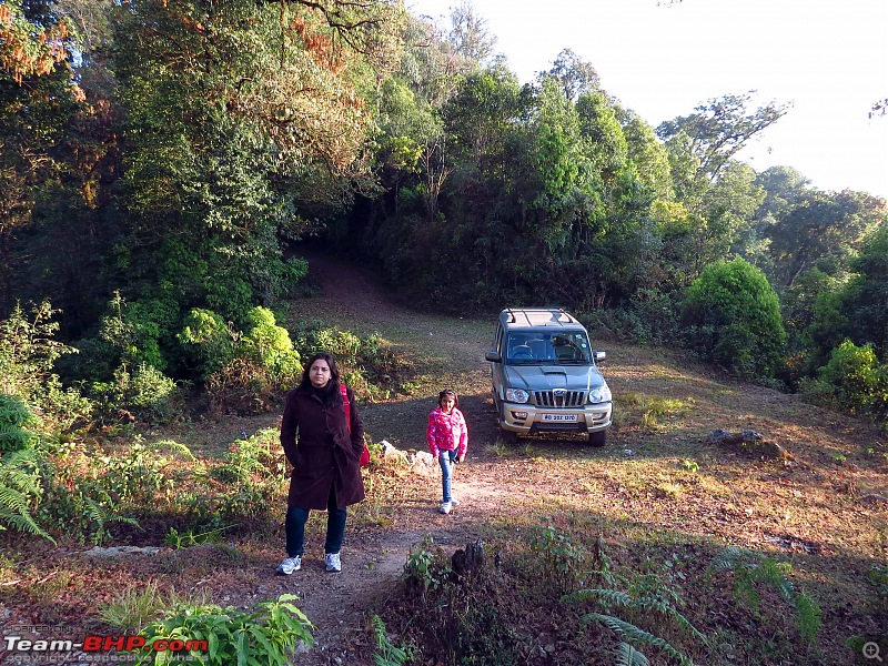 Marengo goes to Ramitey Top & Sillery Gaon - The "New Darjeeling"-img_2103.jpg
