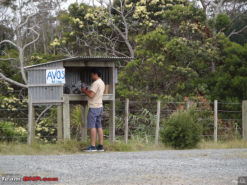 New Zealand: End to End-dsc09576.jpg