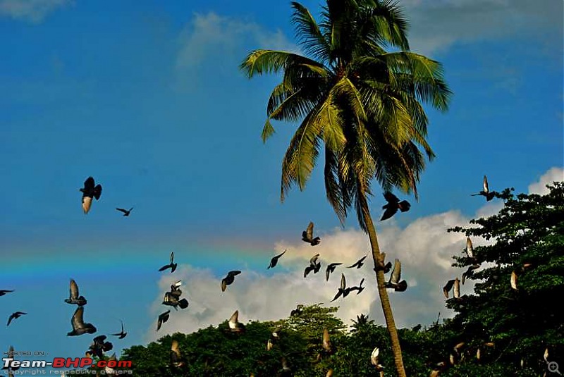 Photologue: Andaman & Nicobar Islands. Paradise on Earth!-dsc_0412.jpg