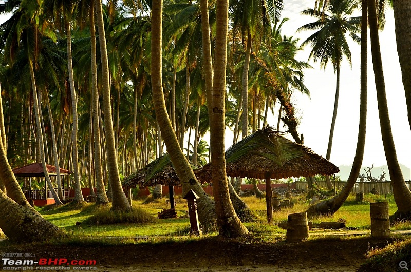 Photologue: Andaman & Nicobar Islands. Paradise on Earth!-_dsc7904_02.jpg
