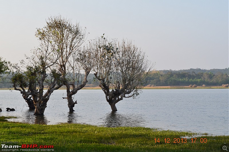 Monsoon in Malnad-11.jpg