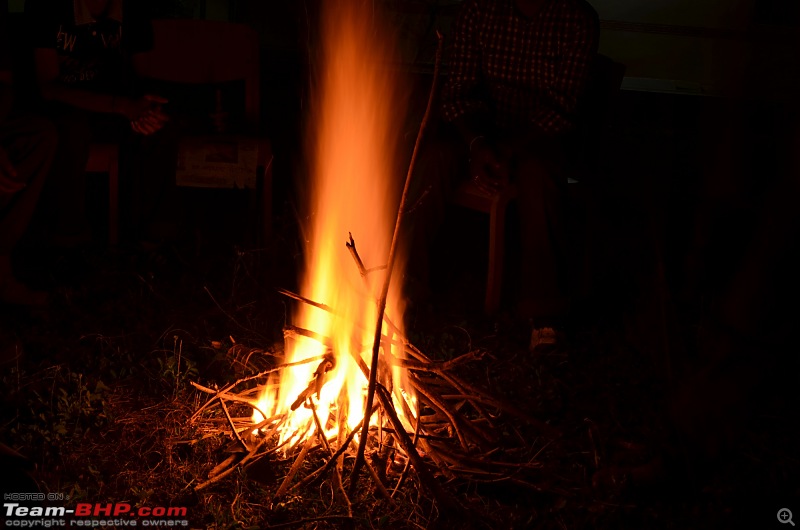 Monsoon in Malnad-13.jpg