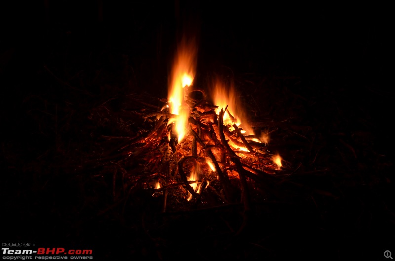 Monsoon in Malnad-14.jpg