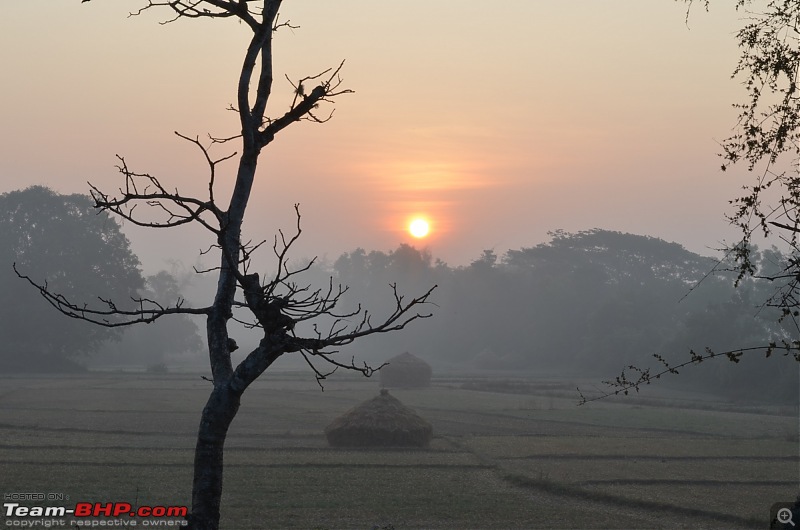 Monsoon in Malnad-15.jpg