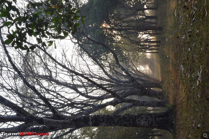 Monsoon in Malnad-18.jpg