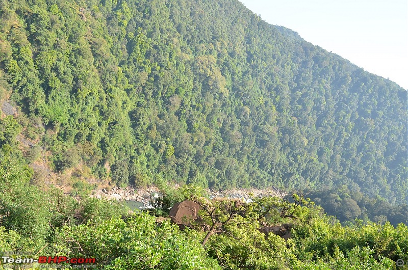 Monsoon in Malnad-28.jpg