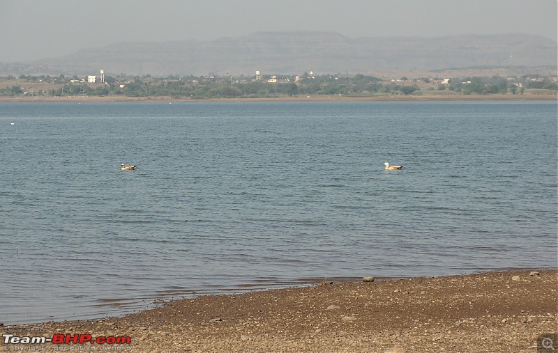 From Pune to Veer Dam-dsc01176.jpg