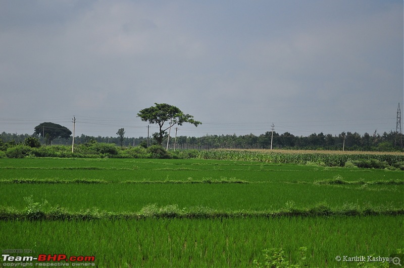 The Jet is mesmerized by the plateau of flowers: A drive to Kaas valley and beyond-dsc_0014.jpg