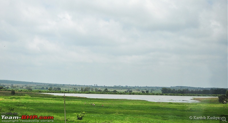 The Jet is mesmerized by the plateau of flowers: A drive to Kaas valley and beyond-dsc_0104.jpg