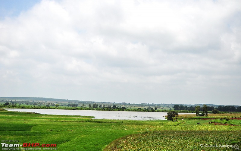 The Jet is mesmerized by the plateau of flowers: A drive to Kaas valley and beyond-dsc_0109.jpg