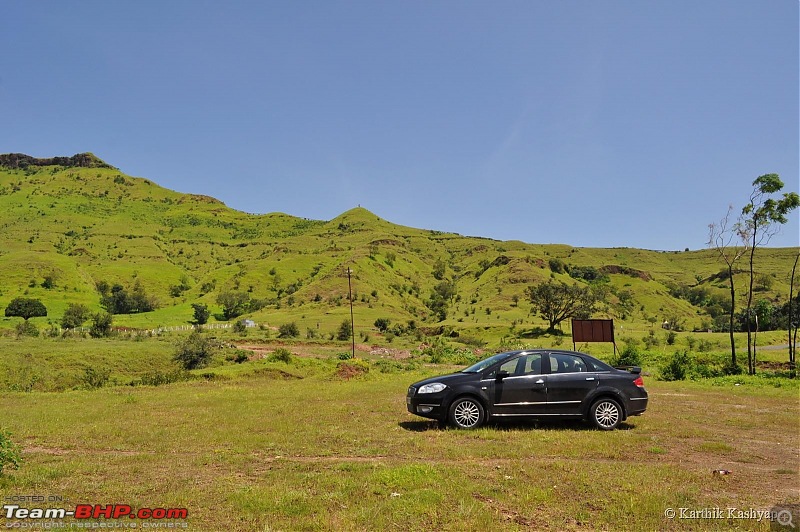 The Jet is mesmerized by the plateau of flowers: A drive to Kaas valley and beyond-dsc_0266.jpg