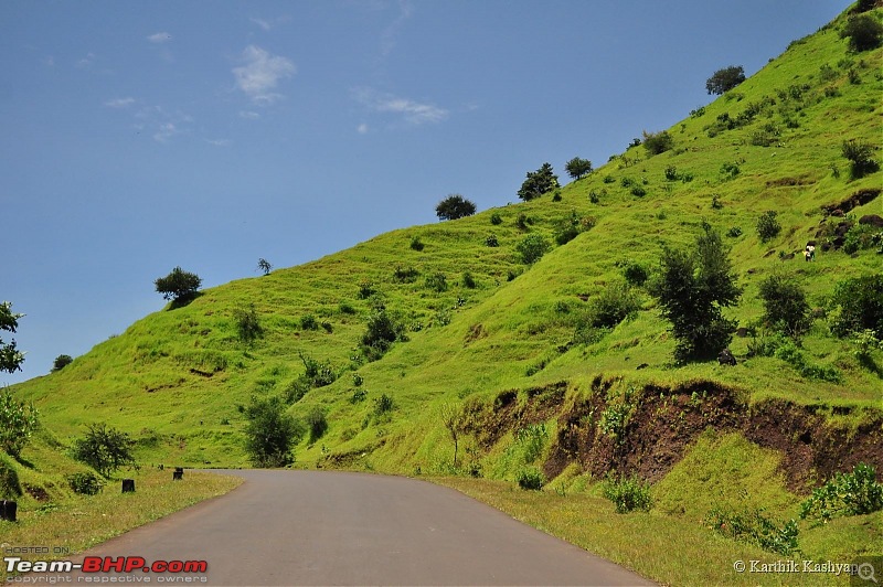 The Jet is mesmerized by the plateau of flowers: A drive to Kaas valley and beyond-dsc_0302.jpg