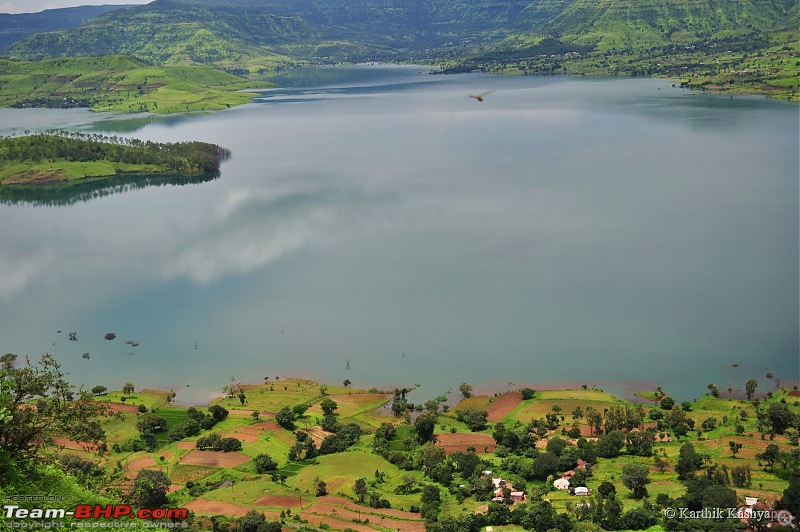 The Jet is mesmerized by the plateau of flowers: A drive to Kaas valley and beyond-dsc_0335.jpg