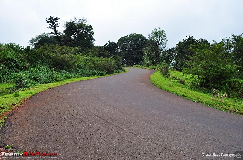 The Jet is mesmerized by the plateau of flowers: A drive to Kaas valley and beyond-dsc_0487.jpg