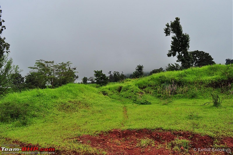 The Jet is mesmerized by the plateau of flowers: A drive to Kaas valley and beyond-dsc_0488.jpg