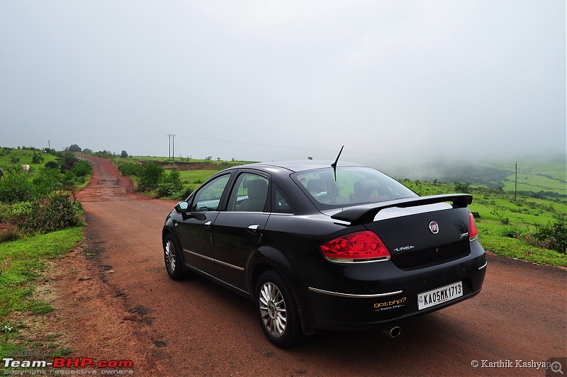 The Jet is mesmerized by the plateau of flowers: A drive to Kaas valley and beyond-dsc_0503.jpg