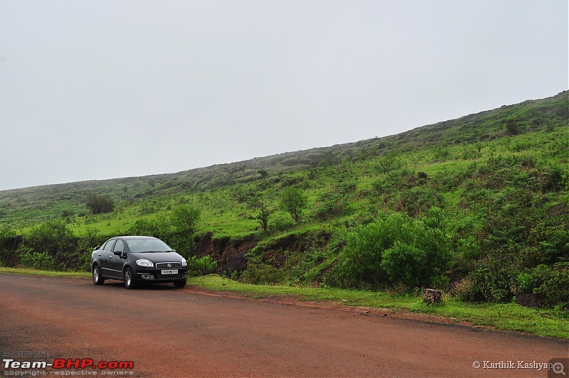 The Jet is mesmerized by the plateau of flowers: A drive to Kaas valley and beyond-dsc_0514.jpg