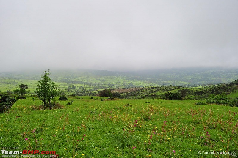 The Jet is mesmerized by the plateau of flowers: A drive to Kaas valley and beyond-dsc_0520.jpg