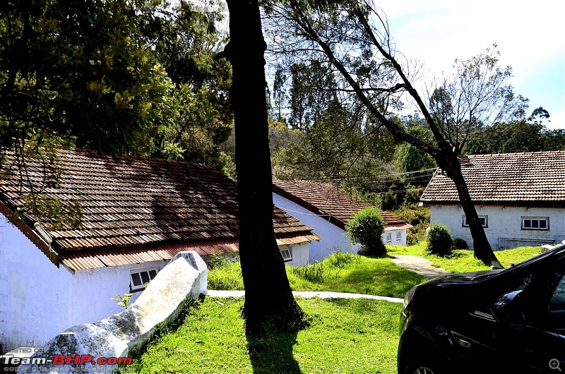 Kodaikanal, December 2013: A Trip to see the Clouds at arm's length-_dsc8295.jpg