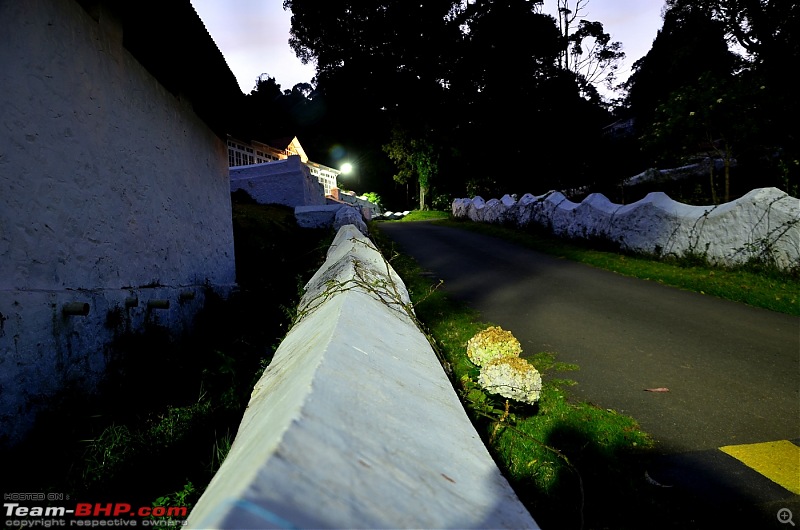 Kodaikanal, December 2013: A Trip to see the Clouds at arm's length-_dsc8407.jpg