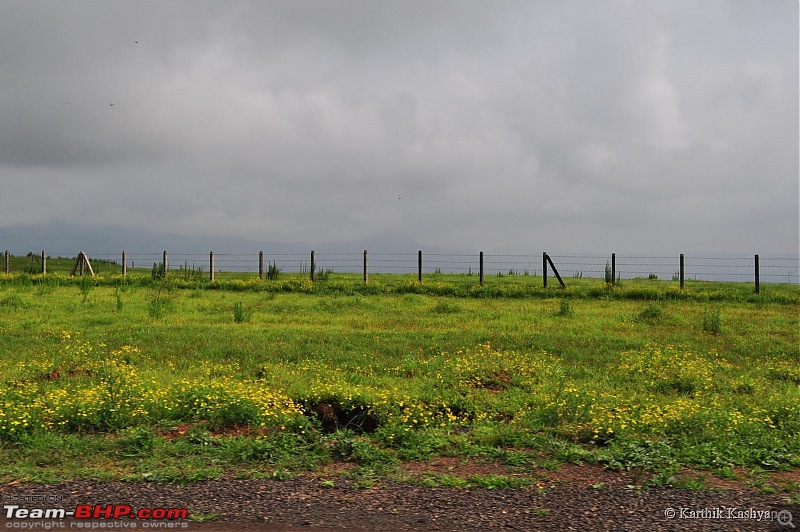 The Jet is mesmerized by the plateau of flowers: A drive to Kaas valley and beyond-dsc_0009.jpg