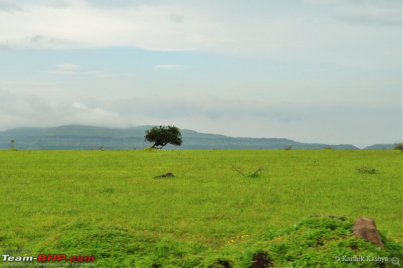 The Jet is mesmerized by the plateau of flowers: A drive to Kaas valley and beyond-dsc_0551.jpg