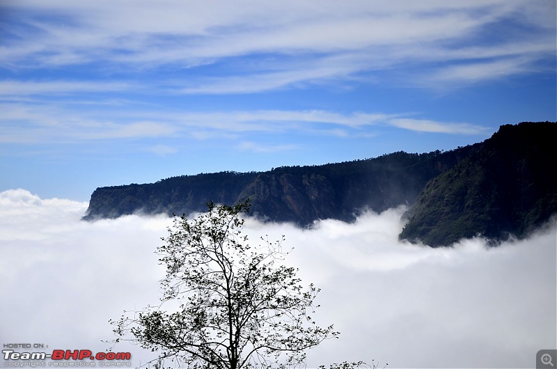 Kodaikanal, December 2013: A Trip to see the Clouds at arm's length-_dsc8348.jpg