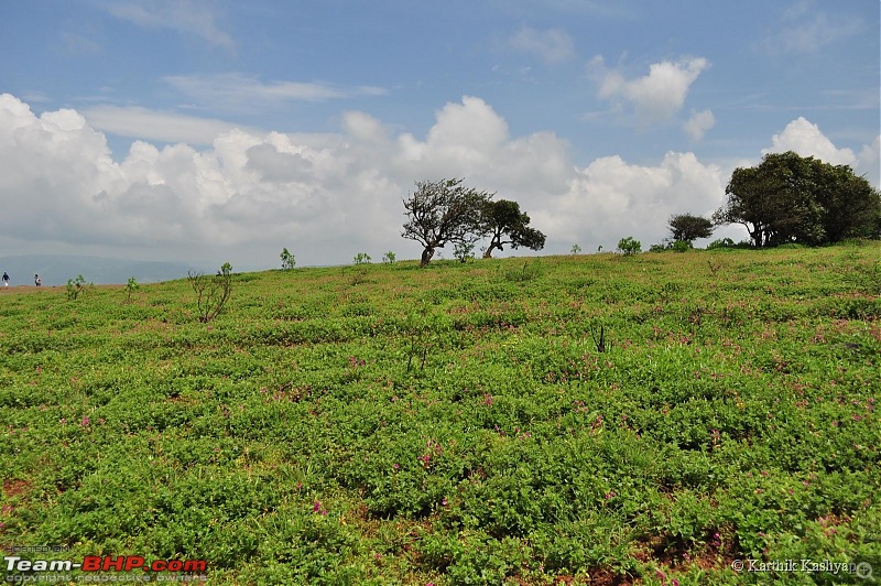 The Jet is mesmerized by the plateau of flowers: A drive to Kaas valley and beyond-dsc_0134.jpg