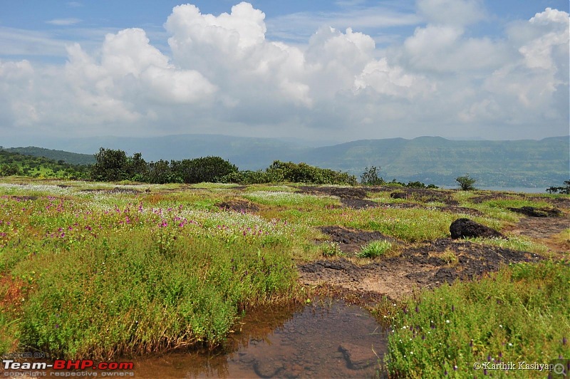 The Jet is mesmerized by the plateau of flowers: A drive to Kaas valley and beyond-dsc_0142.jpg