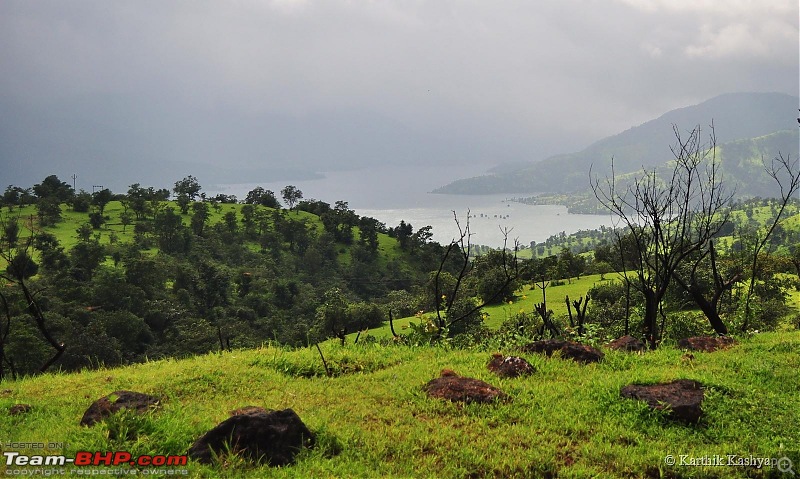 The Jet is mesmerized by the plateau of flowers: A drive to Kaas valley and beyond-dsc_0373.jpg