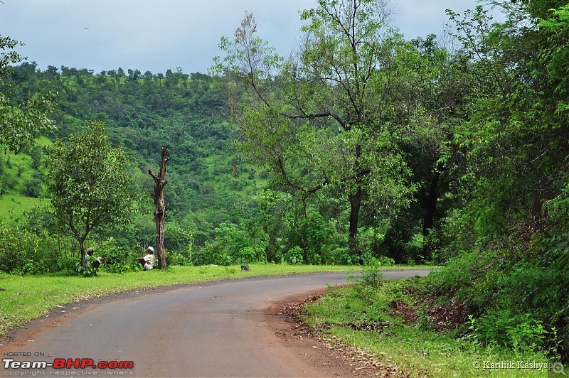 The Jet is mesmerized by the plateau of flowers: A drive to Kaas valley and beyond-dsc_0378.jpg