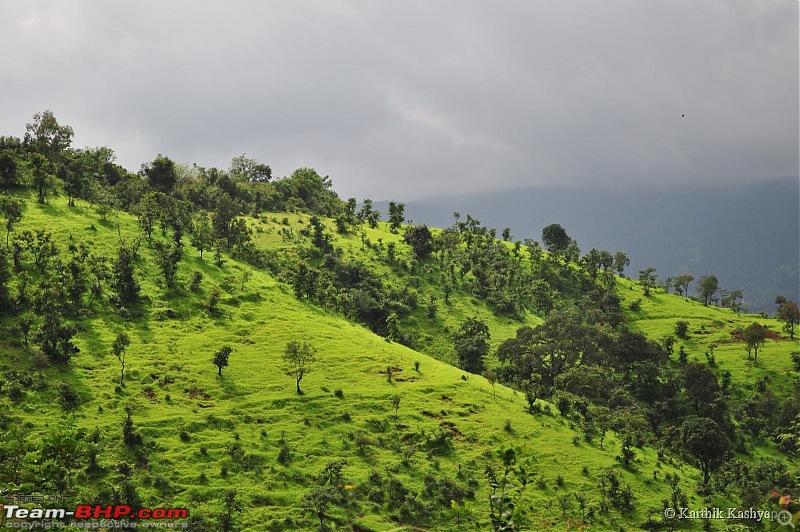 The Jet is mesmerized by the plateau of flowers: A drive to Kaas valley and beyond-dsc_0381.jpg