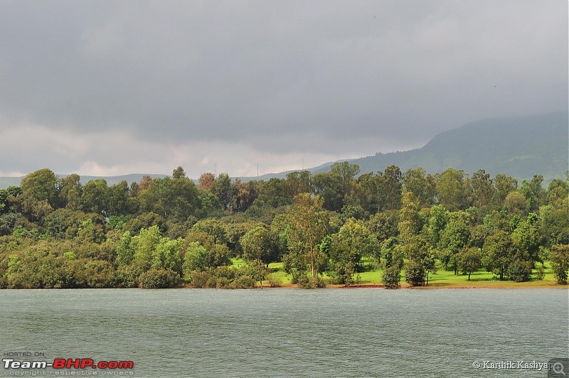 The Jet is mesmerized by the plateau of flowers: A drive to Kaas valley and beyond-dsc_0400.jpg