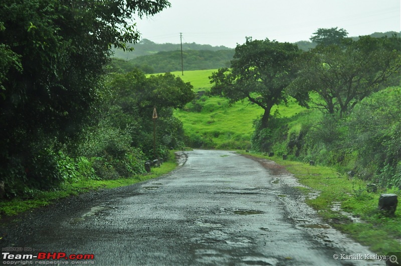 The Jet is mesmerized by the plateau of flowers: A drive to Kaas valley and beyond-dsc_0490.jpg