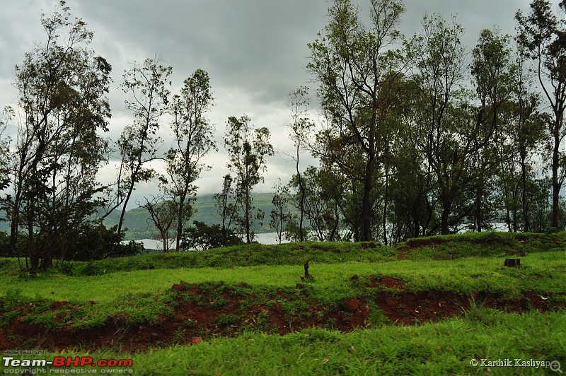 The Jet is mesmerized by the plateau of flowers: A drive to Kaas valley and beyond-dsc_0503.jpg