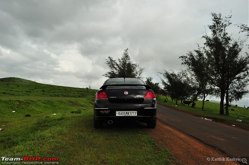 The Jet is mesmerized by the plateau of flowers: A drive to Kaas valley and beyond-dsc_0506.jpg