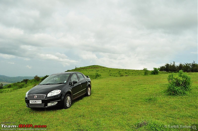 The Jet is mesmerized by the plateau of flowers: A drive to Kaas valley and beyond-dsc_0519.jpg