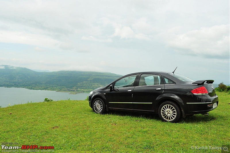 The Jet is mesmerized by the plateau of flowers: A drive to Kaas valley and beyond-dsc_0531.jpg