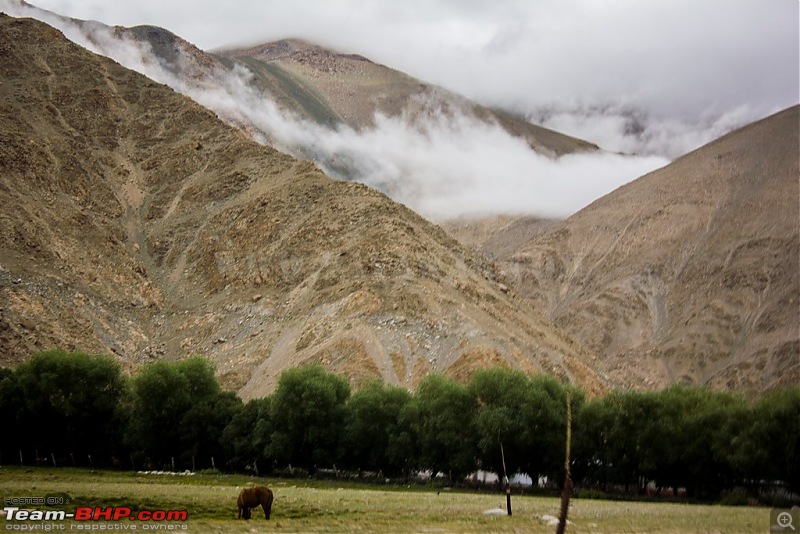 The Yayawar Group wanders in Ladakh & Spiti-10.7.jpg