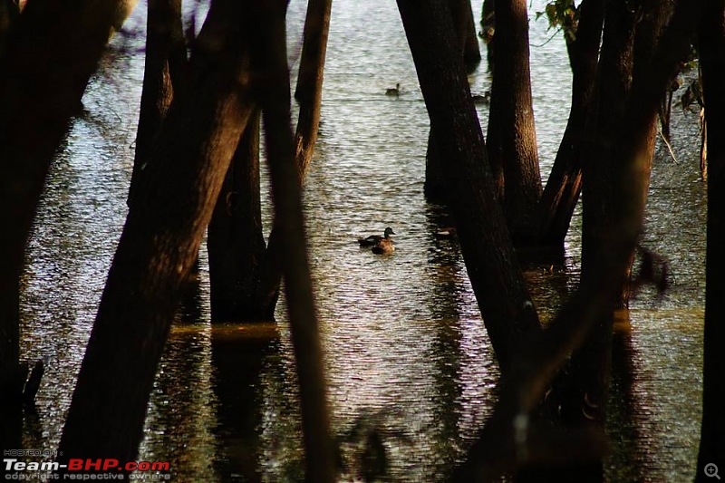 Photologue: The Lakes of Bangalore-3.jpg