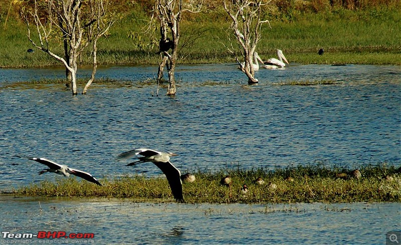 Photologue: The Lakes of Bangalore-8.jpg