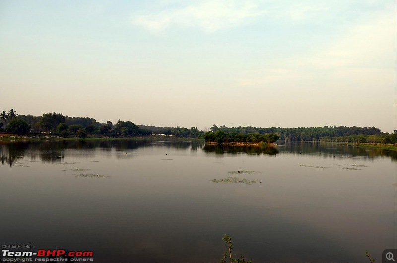 Photologue: The Lakes of Bangalore-905287.jpg