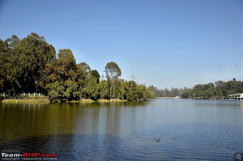 Kodaikanal, December 2013: A Trip to see the Clouds at arm's length-_dsc8514.jpg