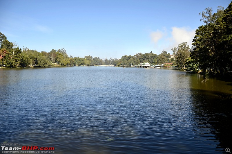 Kodaikanal, December 2013: A Trip to see the Clouds at arm's length-_dsc8515.jpg