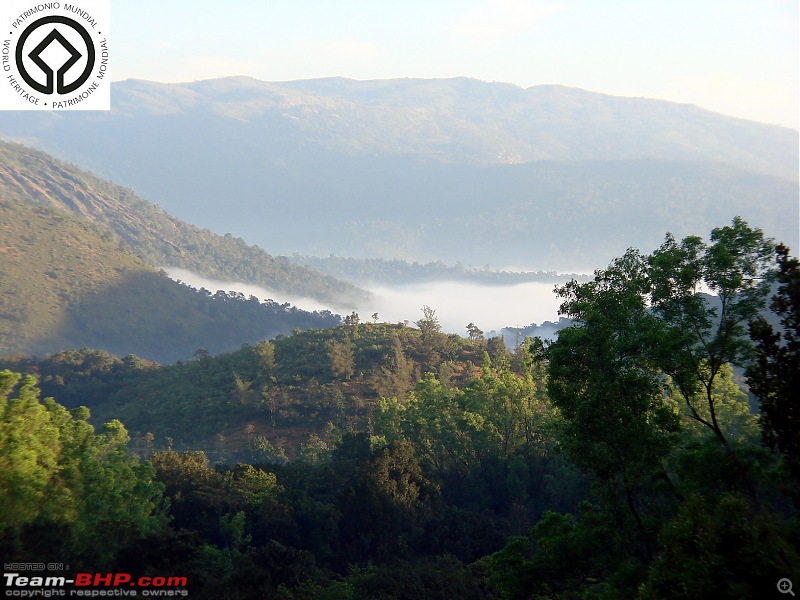 Horse-Face: The Jewel of Western Ghats-dsc08005.jpg