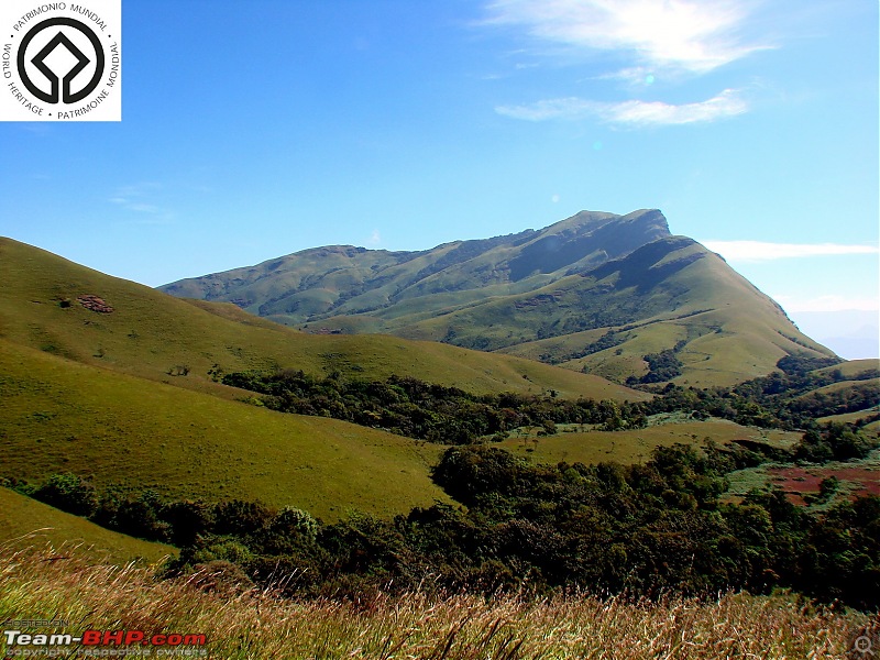 Horse-Face: The Jewel of Western Ghats-dsc08057.jpg