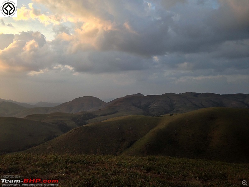 Horse-Face: The Jewel of Western Ghats-img_3360.jpg