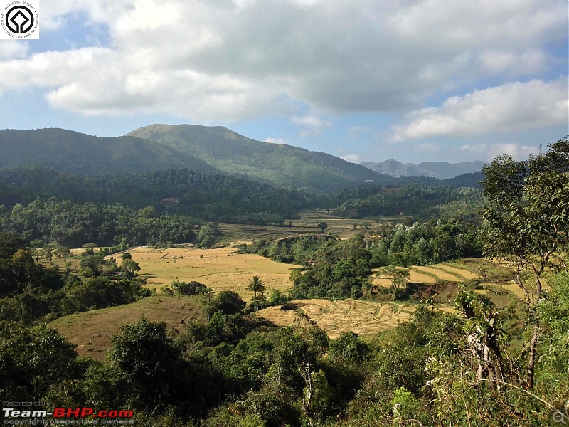 Horse-Face: The Jewel of Western Ghats-img_3208.jpg